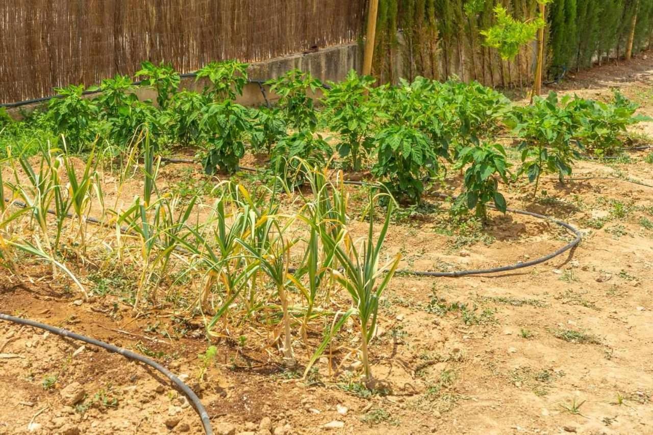Casa Rural Don Lope El Canuelo  المظهر الخارجي الصورة